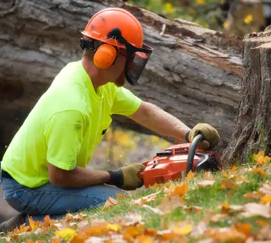 tree services Mapleton